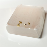 14K Solid Gold Satin Paw Stud Earrings