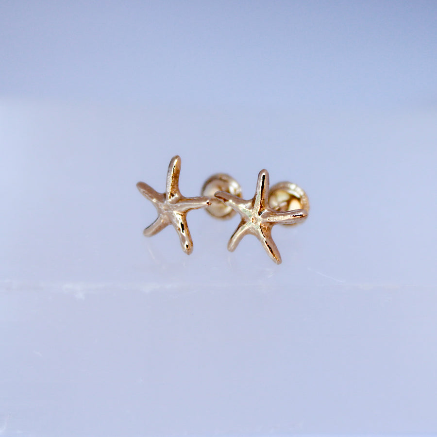 14K Solid Yellow Gold Starfish Earrings